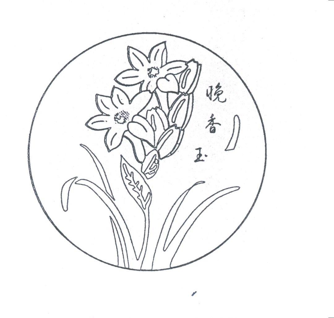 晚香玉