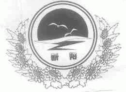 新阳