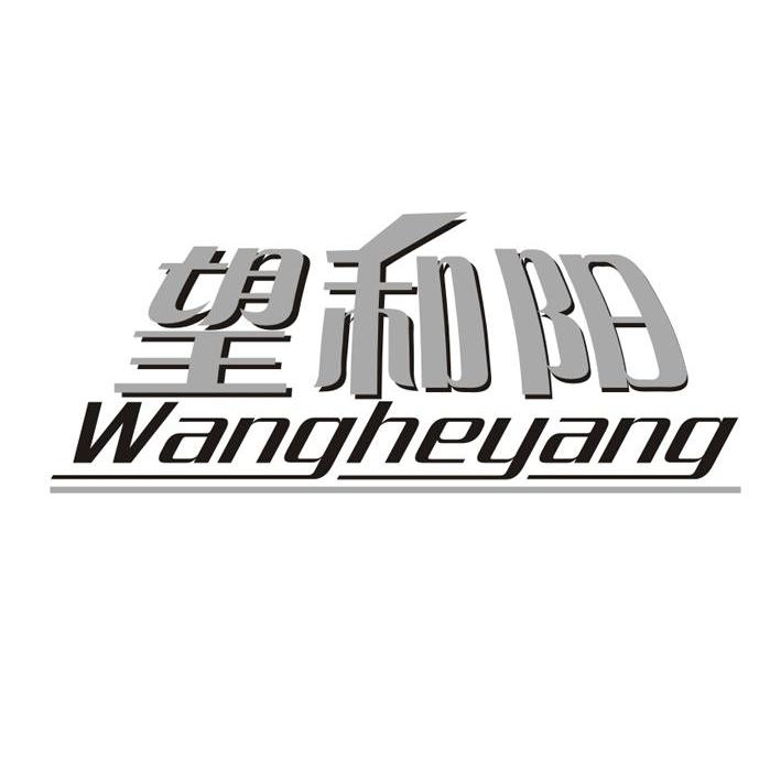 望和阳 WANGHEYANG