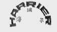 海瑞尔;HARRIER