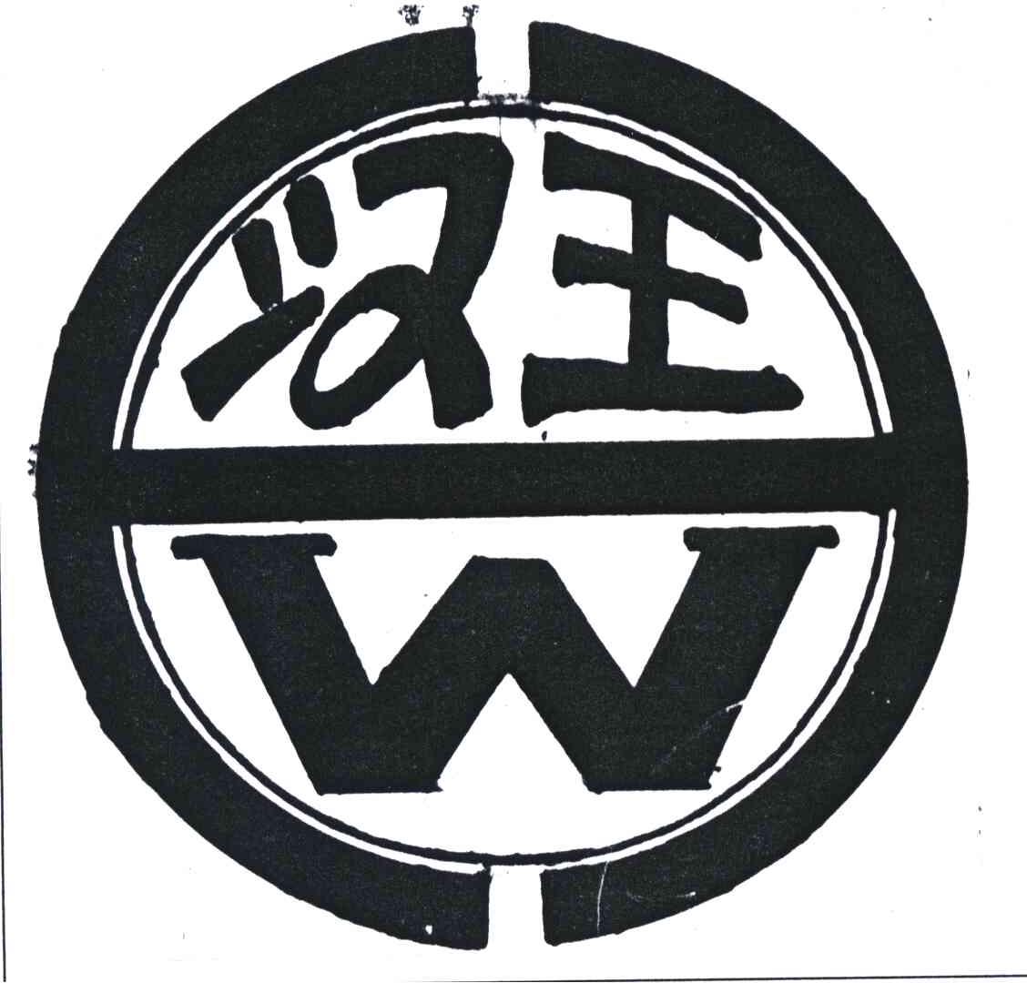 汉王 W