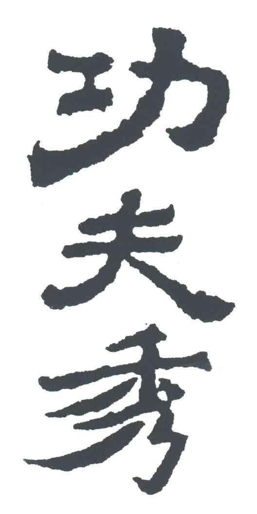 功夫秀;
