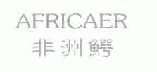 非洲鳄;AFRICAER
