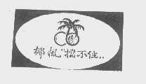 椰风挡不住