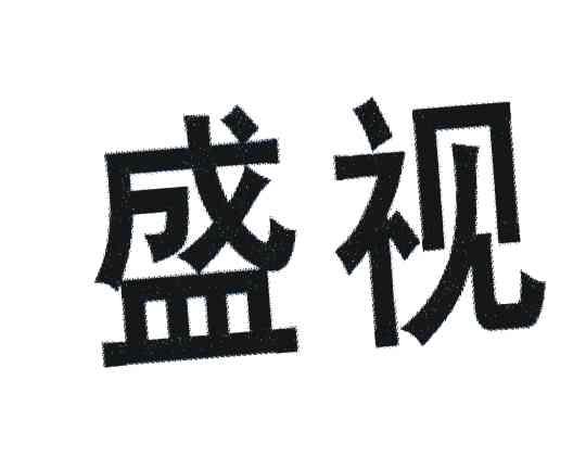 盛视