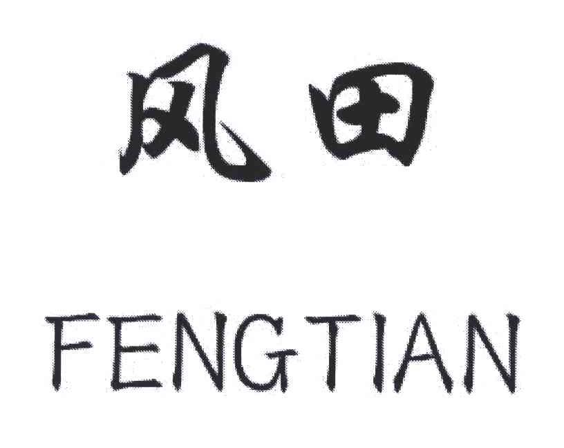 风田;FENG TIAN