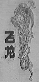 飞龙