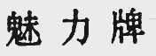 魅力