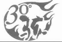 30;骇
