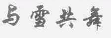 与雪共舞