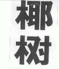 椰树