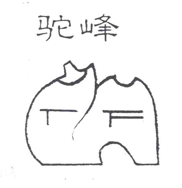 驼峰