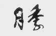 月季