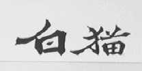 白猫