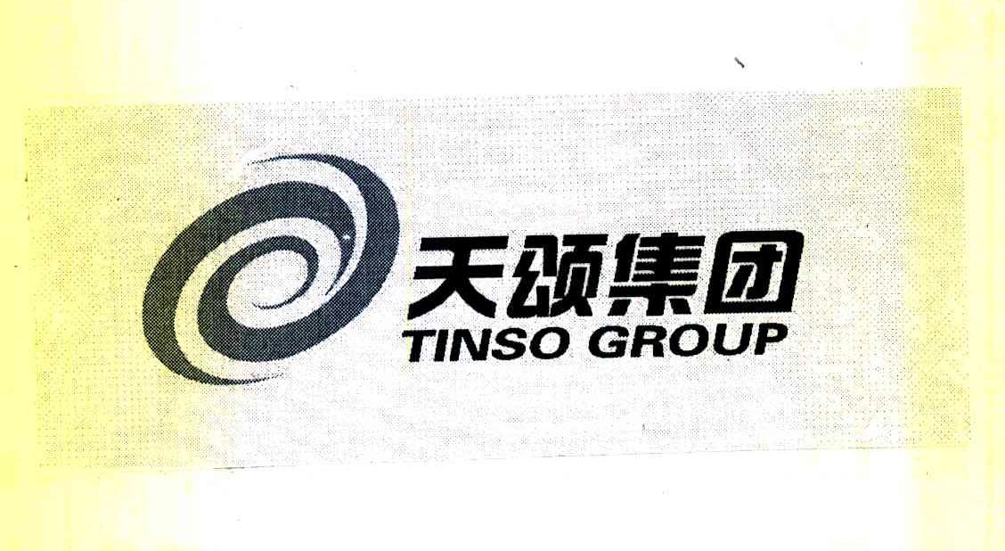 天颂集团 TINSO GROUP