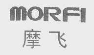 摩飞   MORFI