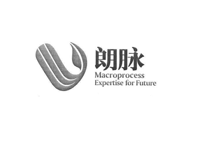 朗脉 MACROPROCESS EXPERTISE FOR FUTURE
