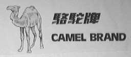 骆驼