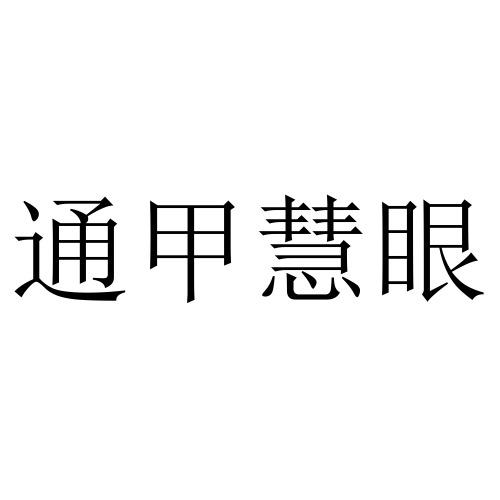 通甲慧眼