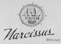 水仙花  NARCISSUS