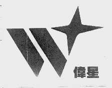 伟星