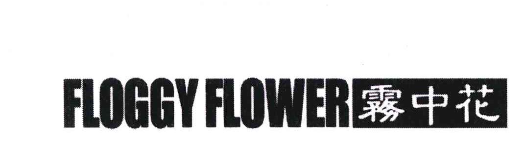 雾中花;FLOGGY FLOWER