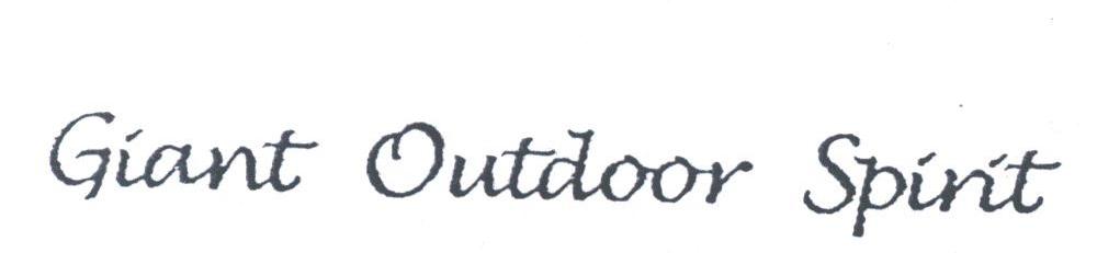 GIANT OUTDOOR SPIRIT