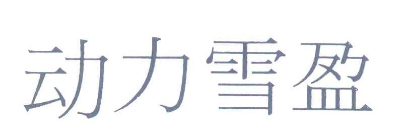 动力雪盈