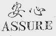 安心  ASSURE