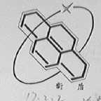 新盾