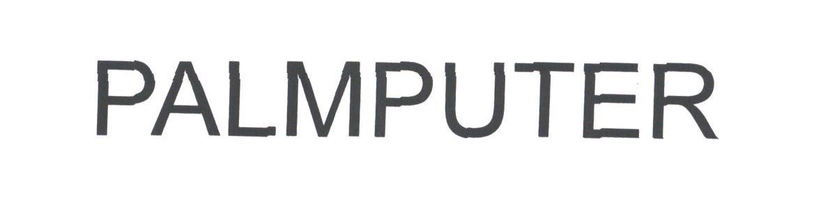PALMPUTER