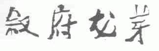 叙府龙芽