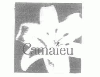 CAMAIEU