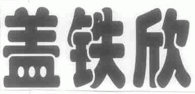 盖铁欣