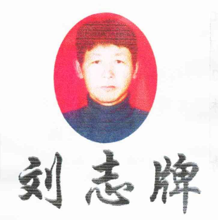 刘志牌