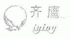 齐鹰