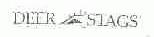 DEER STAGS