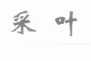 采叶