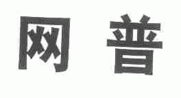 网普