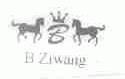 B ZIWANG