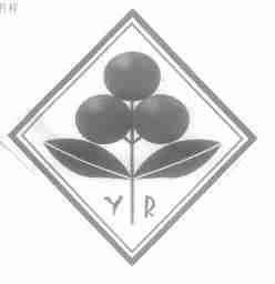 YR