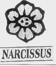 NARCISSUS