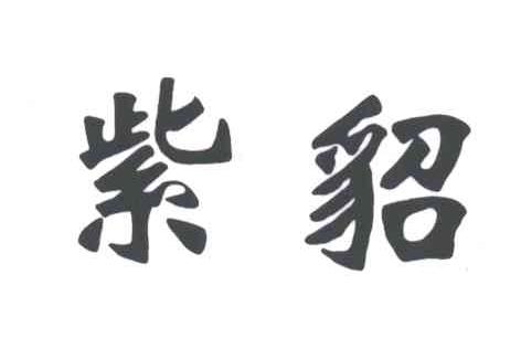 紫貂