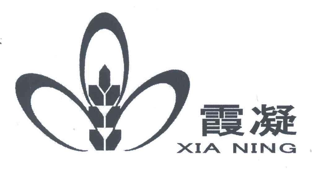 霞凝