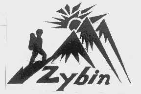 ZYBIN