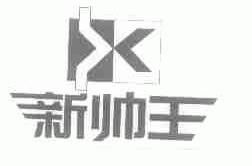新帅王