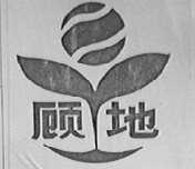 顾地