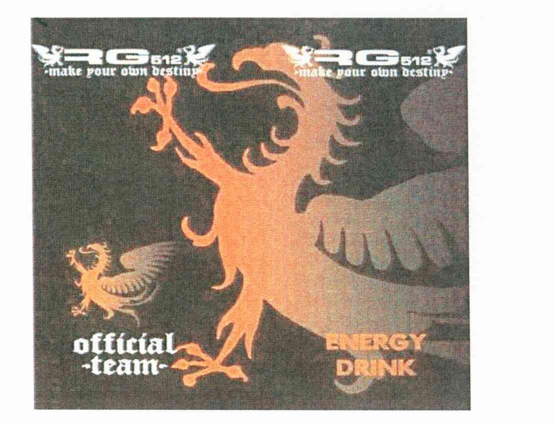 MAKE POUR OWN BESTING OFFICIAL TEAM ENERGY DRINK RG 612
