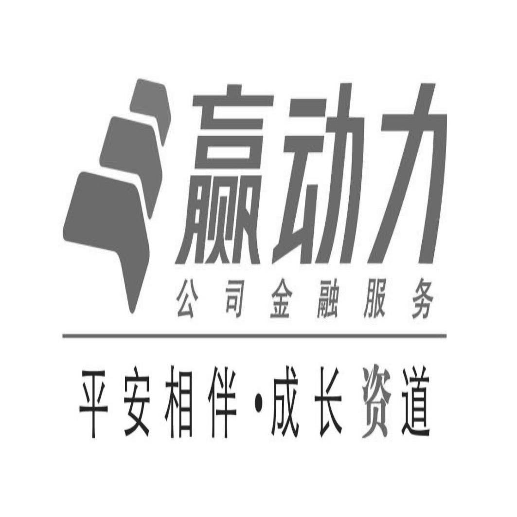 赢动力;公司金融服务;平安相伴&middot;成长资道