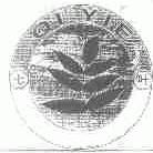 七叶;QI YIE